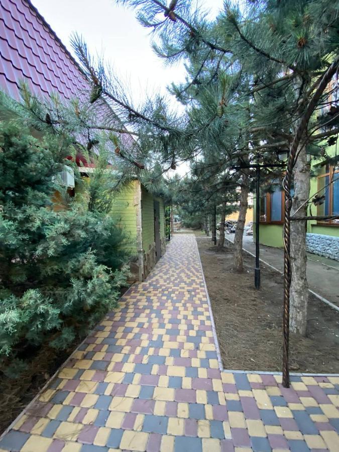 Villa Sosnovy Bor Zatoka Zewnętrze zdjęcie