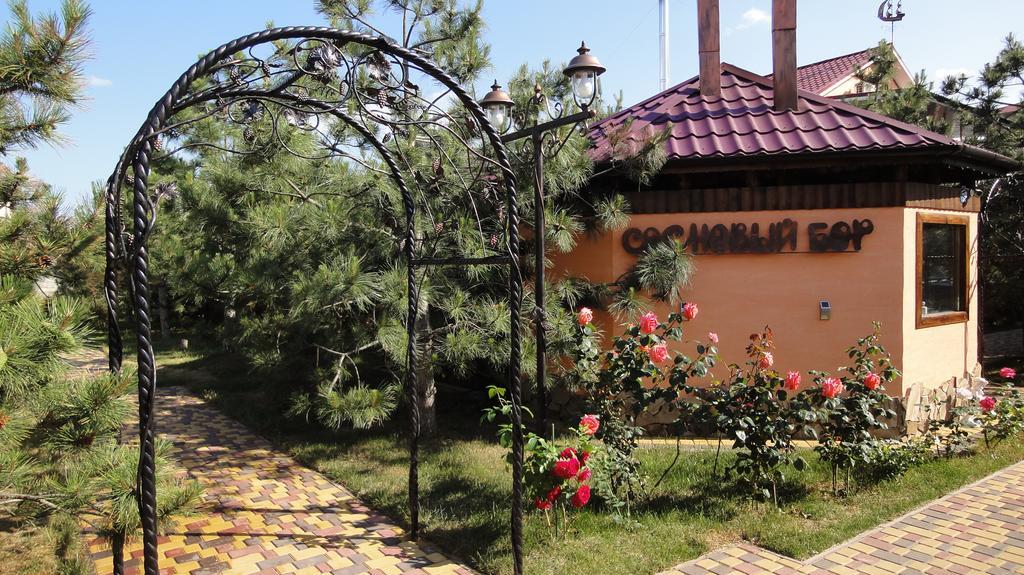 Villa Sosnovy Bor Zatoka Zewnętrze zdjęcie