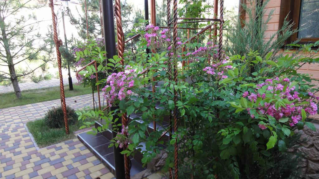 Villa Sosnovy Bor Zatoka Zewnętrze zdjęcie