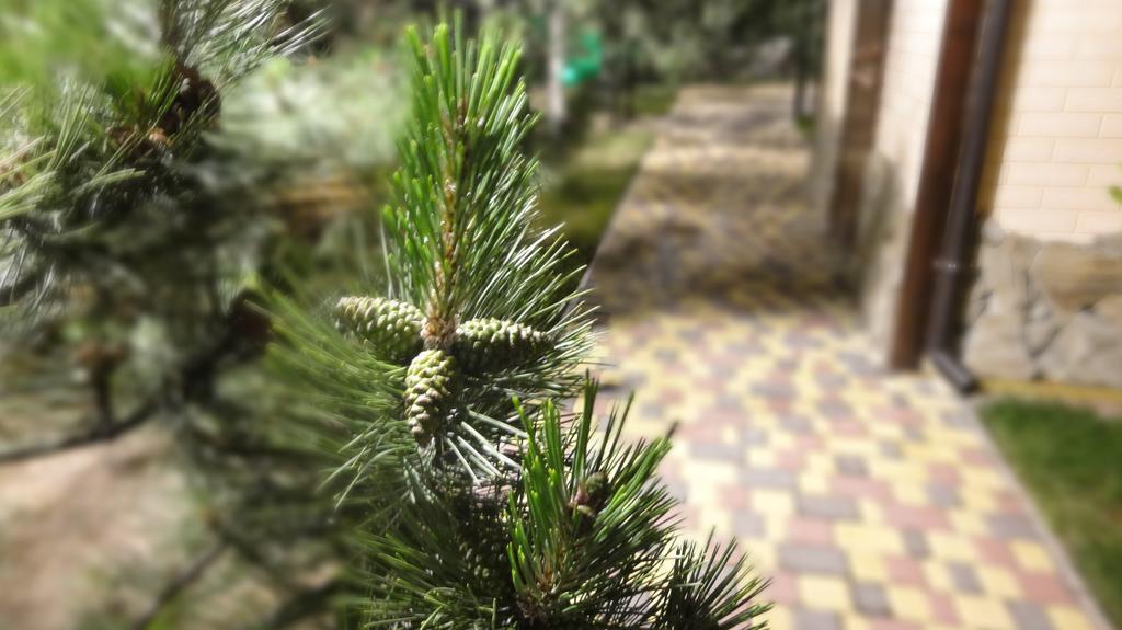 Villa Sosnovy Bor Zatoka Zewnętrze zdjęcie
