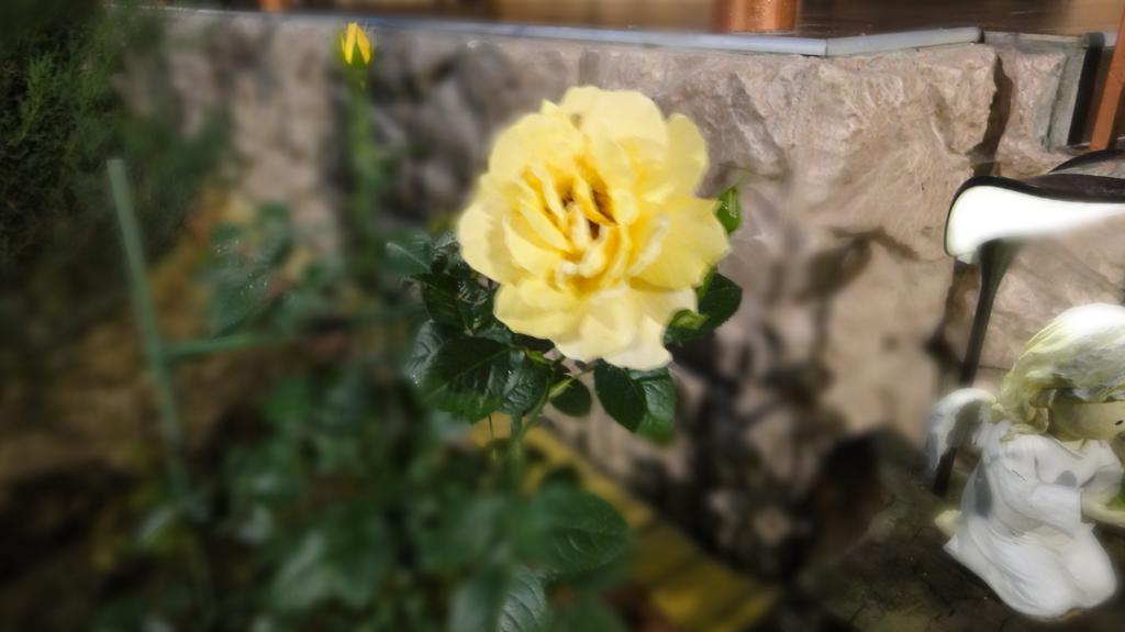 Villa Sosnovy Bor Zatoka Zewnętrze zdjęcie